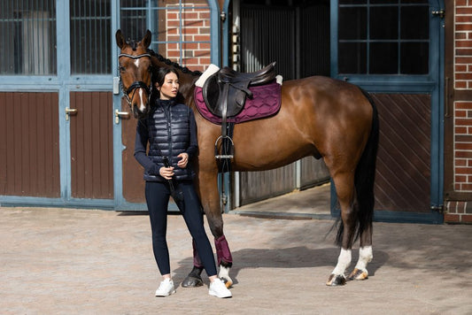 Saddle Pad Glossy Evo Wool Blackberry