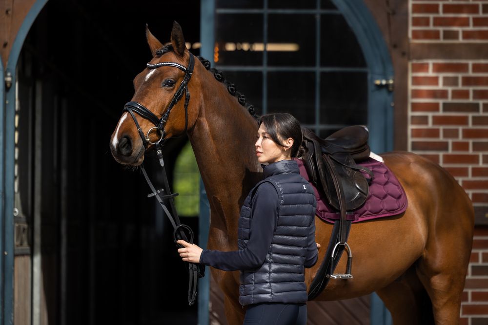 Saddle Pad Glossy Evo Wool Blackberry
