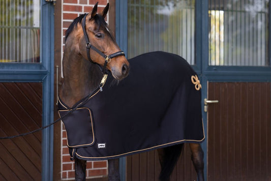 Sweat Rug Softshell Air Core