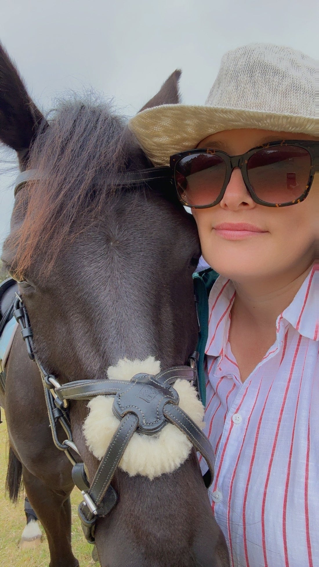 From Non-Horsey Mum to Equestrian Sidekick: My Honest Journey