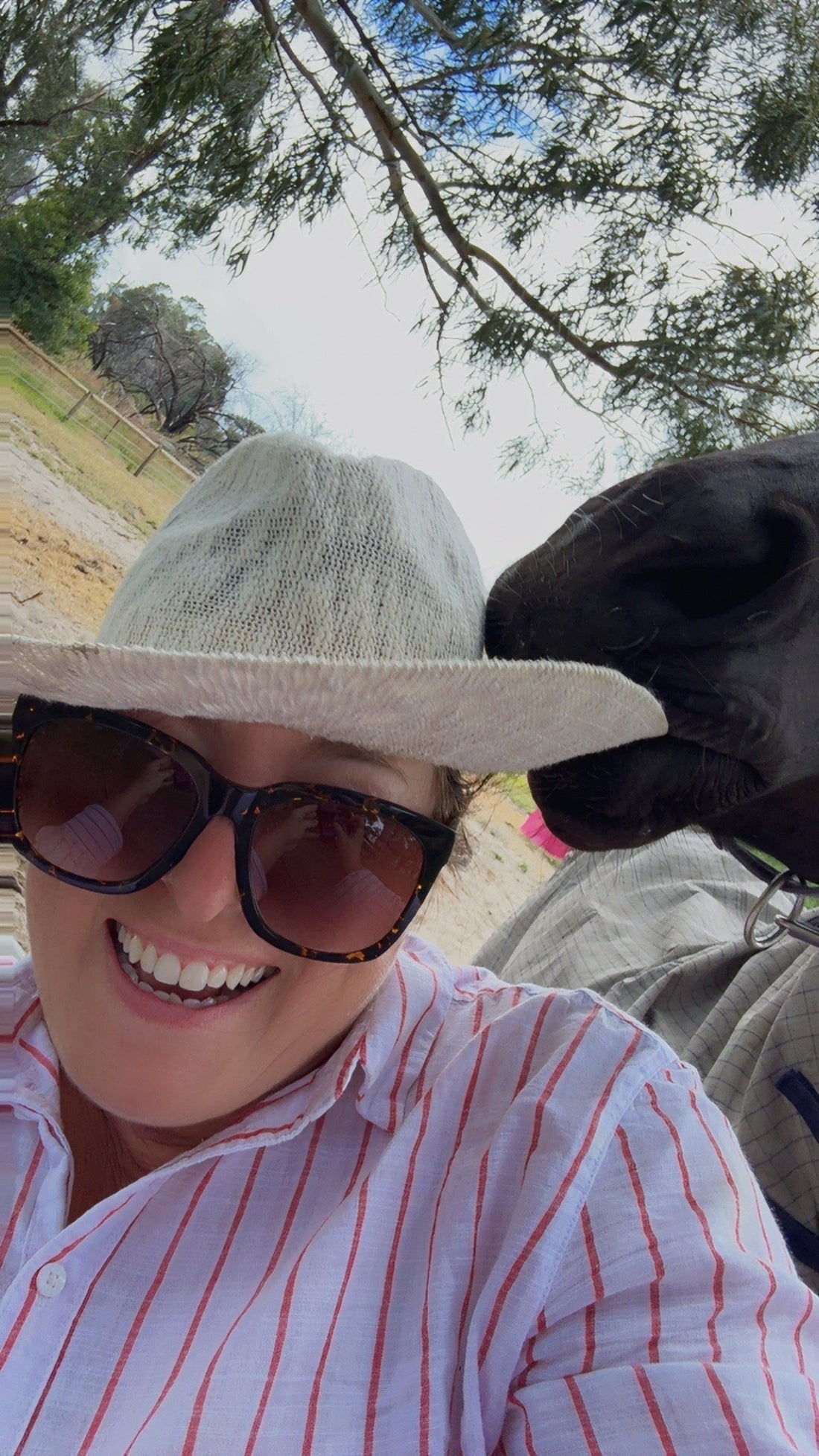 Resources for Non-Horsey Parents: Your Go-To Guide