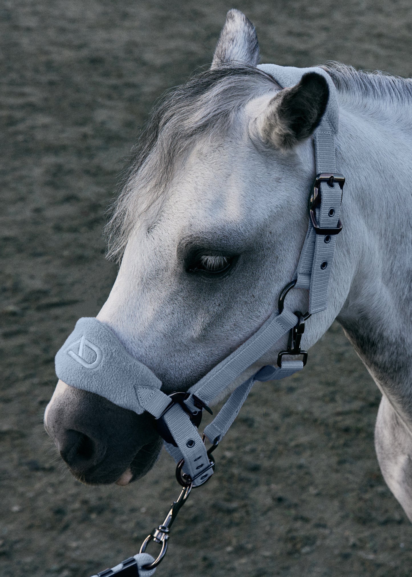 Ash Blue Panel Head Collar