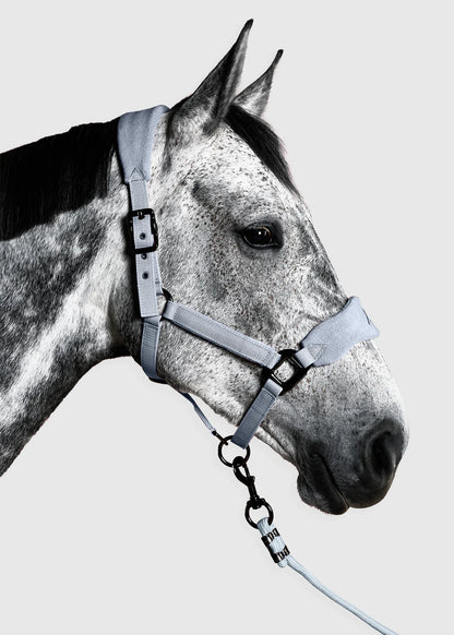 Ash Blue Panel Head Collar